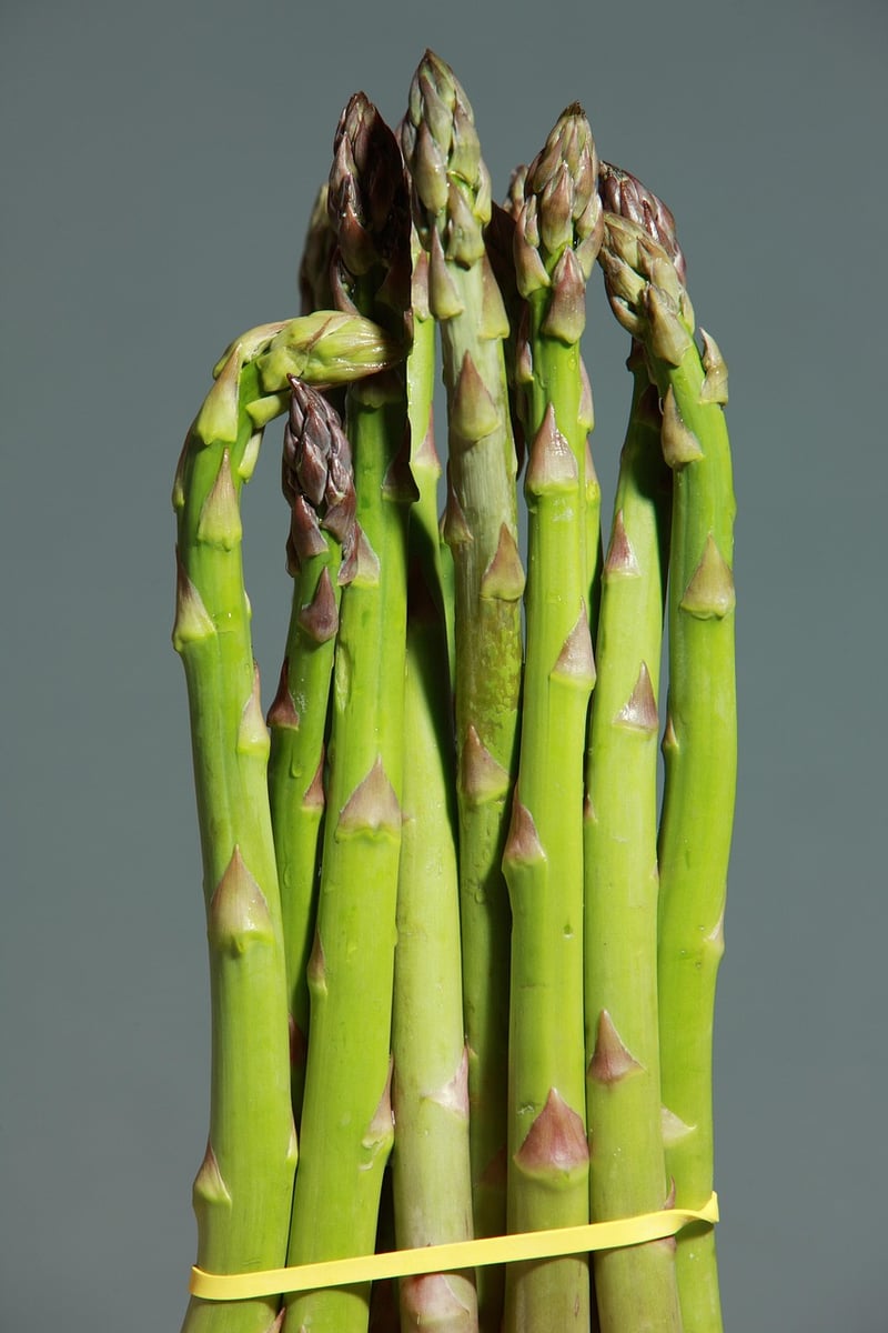 Deconstructed Asparagus Dish